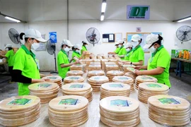 Sản xuất đồ gia dụng, nhà bếp và đồ chơi bằng gỗ cho thị trường trong nước và xuất khẩu. (Ảnh: Hồng Đạt/TTXVN)