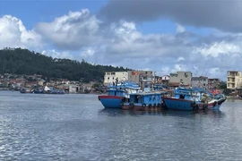 Ngư dân Thanh Hóa chuẩn bị cho tàu ra khơi khai thác hải sản. (Ảnh minh họa: Hoa Mai/TTVVN)