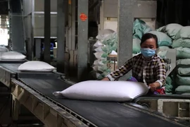 Đóng gói gạo xuất khẩu. (Ảnh: Thu Hiền/TTXVN)