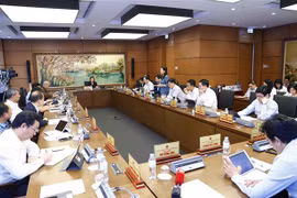 Đoàn đại biểu thành phố Hà Nội thảo luận ở tổ. (Ảnh: Doãn Tấn/TTXVN)