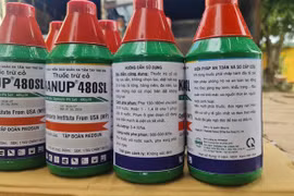 Các chai thuốc trừ cỏ nhãn hiệu KANUP có hoạt chất Glyphosate IPA Salt bị tạm giữ. (Ảnh: Nguyễn Hoài Nam/TTXVN)