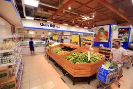 Ảnh minh họa. (Ảnh: Tuấn Anh/TTXVN)