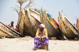 Một khoảnh khắc ở Tanji (Gambia). (Nguồn: theconversation.com)