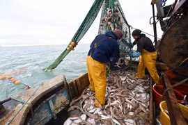 Ngư dân đánh cá ngoài khơi bờ biển phía Đông Nam nước Anh ngày 12/10/2020. (Ảnh: AFP/TTXVN)