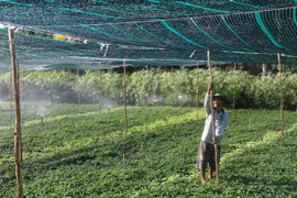 Ảnh minh họa. (Ảnh: Minh Trí/TTXVN)