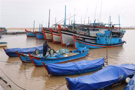 Ngư dân thành phố Tuy Hòa (tỉnh Phú Yên) gia cố lại tàu thuyền để ứng phó với mưa lớn, gió mạnh. (Ảnh: Phạm Cường/TTXVN)