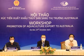 Thứ trưởng Ngoại giao Vũ Quang Minh (giữa) cùng các đại biểu tham dự hội thảo. (Ảnh: Lâm Khánh/TTXVN)