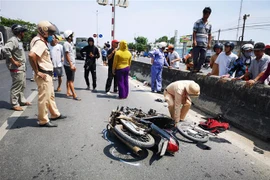 Ảnh minh họa. (Ảnh: TTXVN)