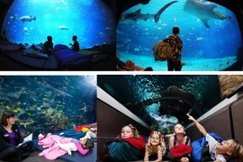 Những hoạt động tập thể khiến các thành viên thêm gắn kết.