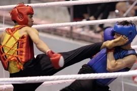Khai mạc giải Boxing và Võ thuật cổ truyền Let’s Việt 2014