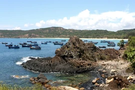 [Photo] Ghềnh Đá Đĩa Phú Yên - Vẻ đẹp của tạo hóa