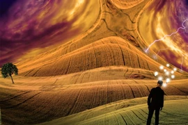 "Giấc mơ sáng suốt" có thể được tạo nhờ tác động não bộ