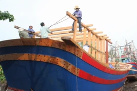 Bình Định hỗ trợ tín dụng ngư dân đóng mới tàu công suất lớn
