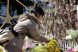 Chùm ảnh tưởng niệm nạn nhân thảm họa kép ở Nhật Bản