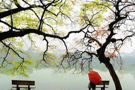 Bắc Bộ mưa giảm dần, Nam Bộ cần đề phòng dông và lốc lớn