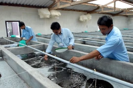 Trà Vinh quy hoạch vùng sản xuất giống thủy sản tập trung