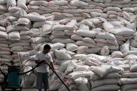 Philippines tổ chức phiên đấu giá mở mua 800.000 tấn gạo