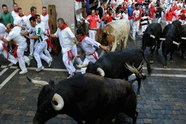 Sáu người nhập viện sau lễ hội "bò rượt" ở Tây Ban Nha 