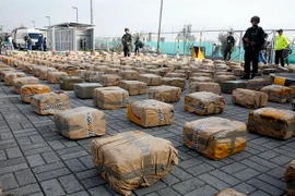 Colombia bắt giữ hơn 300 đối tượng vận chuyển ma túy