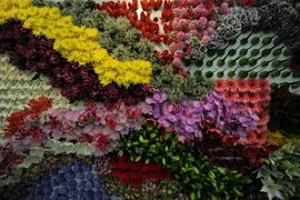 [Photo] Triển lãm quốc tế về kinh doanh hoa tại Kenya