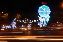 Thành phố Hồ Chí Minh sôi nổi các hoạt động chào đón năm mới 2015