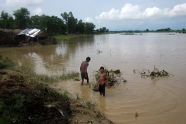 Lũ lụt, sạt lở đất nghiêm trọng tại Nepal gây thương vong lớn