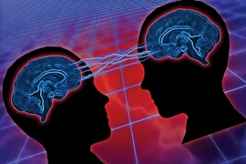 Con người cần sử dụng cả hai bán cầu não để giao tiếp