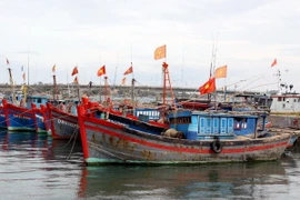 Nghiệp đoàn nghề cá của xã Hải Ninh, thành phố Đồng Hới, Quảng Bình. (Ảnh: TTXVN)