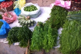 Cuối mùa, 3 loại rau rừng tăng giá "cắt cổ" vẫn hút khách mua 