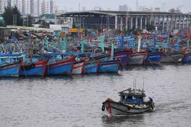 Bão số 5 có khả năng đổi hướng và còn tiếp tục mạnh thêm