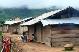 Bộ đội Điện Biên giúp dân Mường Nhé an cư trong ngày Đông