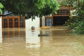 70% dân số Việt Nam sẽ đối mặt thảm họa do biến đổi khí hậu