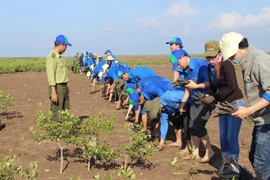 Việt Nam cùng quốc tế ứng phó với biến đổi khí hậu toàn cầu