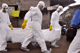Đã có gần 6.600 người trên thế giới tử vong vì virus Ebola