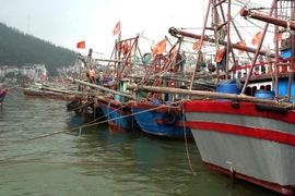 Kiên quyết thực hiện lệnh cấm biển nhằm phòng tránh bão số 4 