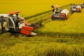 Ra mắt câu lạc bộ sản phẩm đặc trưng Đồng bằng sông Cửu Long