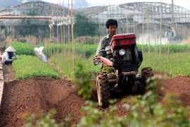 Bí thư Hà Nội: Thành phố đặc biệt quan tâm phát triển nông thôn