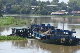 (Ảnh minh họa. Thanh Tân/TTXVN)