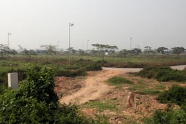 (Ảnh minh họa: Tuấn Anh/TTXVN)