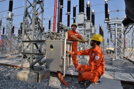 (Ảnh: Hoa Việt Cường/Vietnam+)