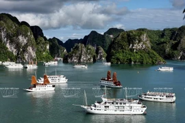 Những du thuyền sang trọng nổi bật giữa màu xanh như ngọc của mặt nước Vịnh Hạ Long. (Ảnh: Nguyễn Thắng/Báo ảnh Việt Nam)