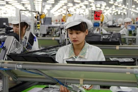 Ảnh minh họa. (Nguồn: Danh Lam/TTXVN)