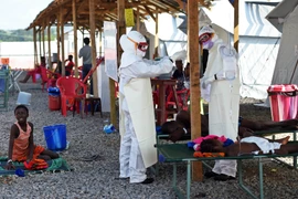 Nhân viên y tế Sierra Leone chăm sóc bệnh nhân nhiễm Ebola tại trung tâm Kenama ngày 15/11/2014. (Nguồn: AFP/TTXVN)