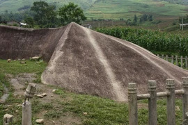 (Ảnh minh họa. Phương Hoa/TTXVN)