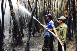 (Ảnh minh họa. Công Mạo/TTXVN)