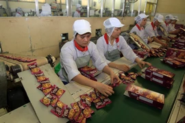 Ảnh minh họa. (Nguồn: Vũ Sinh/TTXVN)