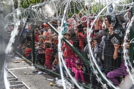Người di cư và tị nạn tại khu vực hàng rào biên giới giữa Hungary và Serbia. (Nguồn: AFP/TTXVN)