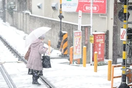 Tuyết rơi bất thường gây ảnh hưởng ở nhiều địa phương Nhật Bản