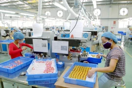 (Ảnh minh họa. Danh Lam/TTXVN)