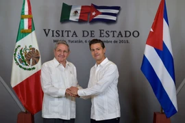 Chủ tịch Cuba Raul Castro (trái) có cuộc hội đàm với Tổng thống Mexico Enrique Pena Nieto (phải). (Nguồn: THX/TTXVN)